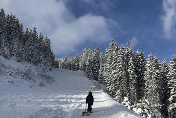 Axamer Lizum - natuurrodelbaan Pleisenhütte