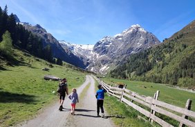 Wildtieren auf der Spur im Lüsenstal