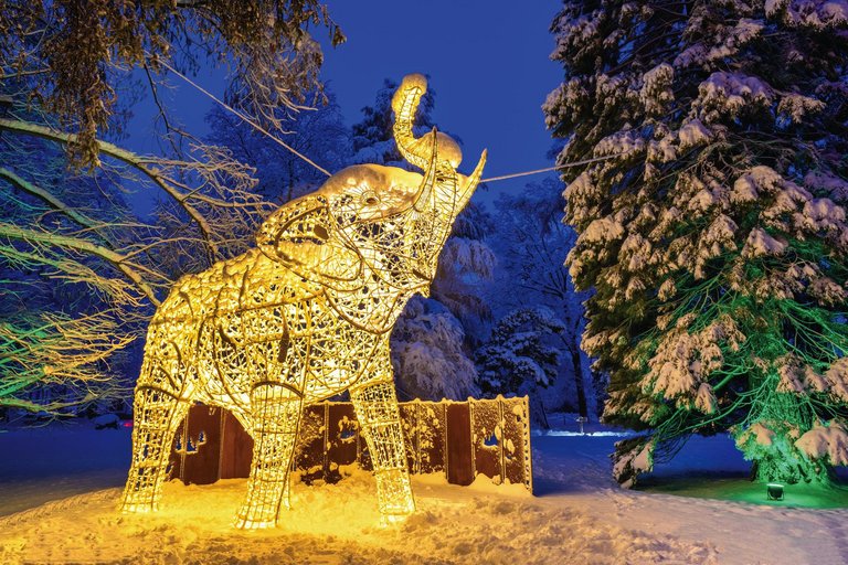 LUMAGICA Innsbruck