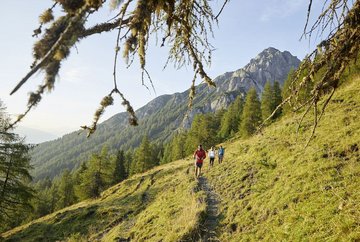 Axamer Lizum naar de Halsl en verder naar de Saile/Nockspitze