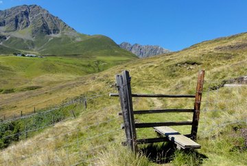 Sentiero Alpenrosensteig a Oberperfuss