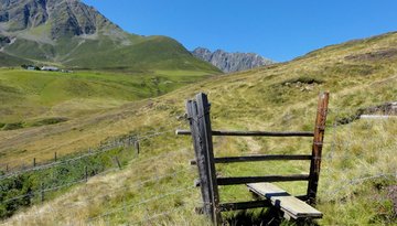The Alpenrosensteig trail (route no. 14a) - circular hike