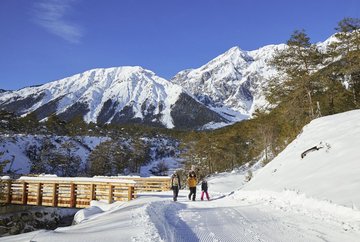 Winterwanderweg Almenroute