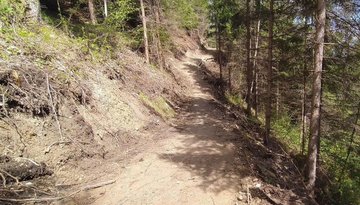 Stadtwaldtrail