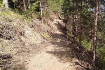 Stadtwaldtrail