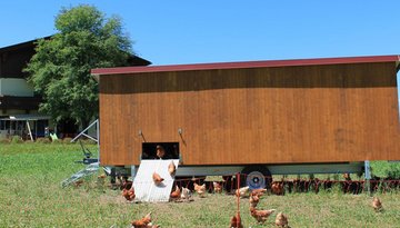 Productos Locales Bauernladen Axams