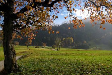 Panoramaweg Birgitz (32)