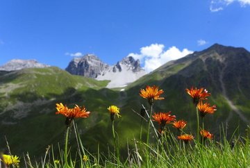 Up to the summit of Sonntagsköpfl - a family hike in the Senders Valley
