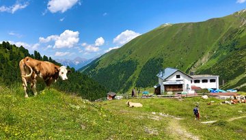 Adolf-Pichler-Hütte
