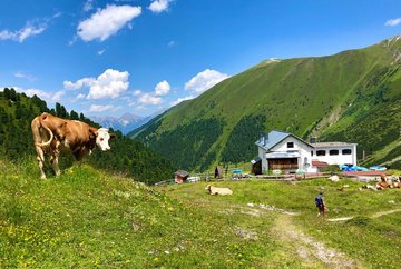 Adolf-Pichler-Hütte