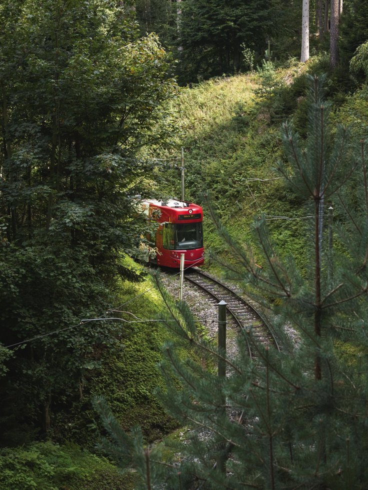 Waldbahn Linie 6