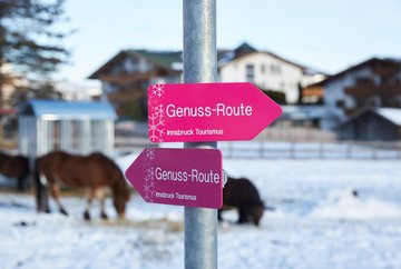 Genuss Route Winter Hiking Trail Mieming Plateau