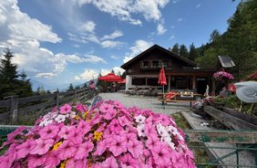 Ein Tag auf der Kreither Alm in Mutters