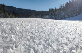 Schnee: Schönheit und Gefahren