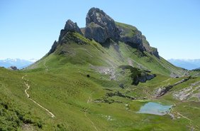 War Ötzi ein prähistorischer Bergsteiger?