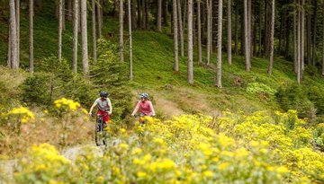 Arztaler Alm (5021)