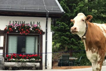 Restaurante alpino Lizum Alm