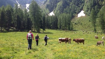 Summit tour: Narrenkopf