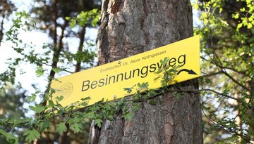 The Path of Reflection from Mötz to Telfs