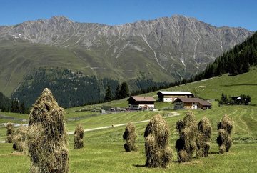 Gleirschalm