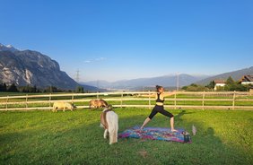 Yoga in Innsbruck: Die besten Outdoor-Angebote