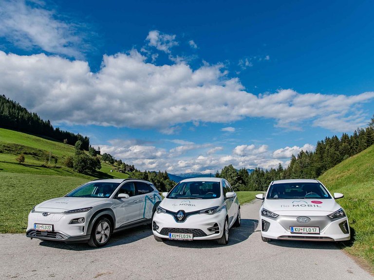 Flexible travel in the region