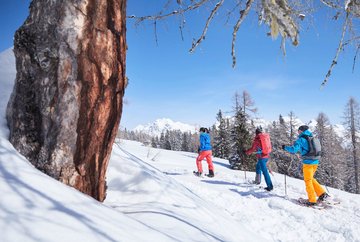 Excursión con raquetas de nieve - puente  Boaslingbrücke