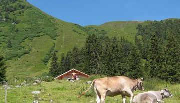 Almindalm