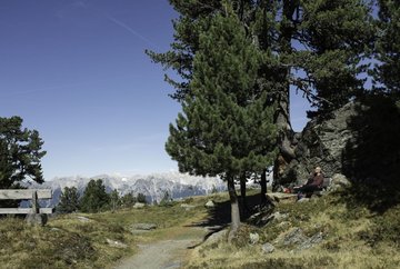 Adlerweg-Etappe 13: Innsbruck - Zirbenweg - Innsbruck