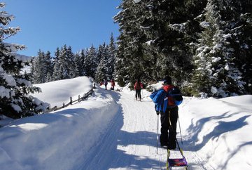 Piste de luge - Bergbahnen Oberperfuss