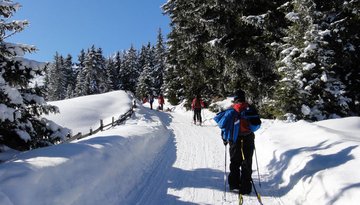 Rodelbahn Bergbahnen Oberperfuss