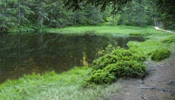 Scenic attraction "Hirschlacke" in Mutters