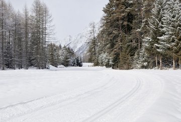 Loipe Mieming - Mieming/Gschwent Nr. 2