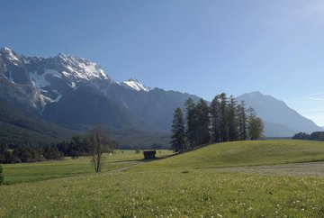 Mooswiesen-Runde