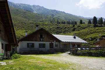 Juifenalm (25)