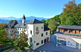 Cradling Alpine Creatures – Alpenzoo Innsbruck