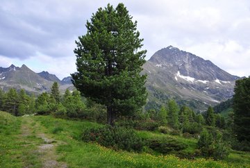 Kaiser-Franz-Josef-Weg