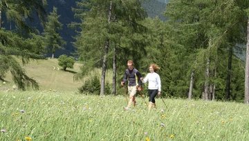 Nordic-Walking: camino circular Larchwiesen-Runde