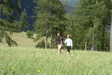 Nordic-Walking: camino circular Larchwiesen-Runde