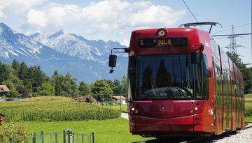 Walk 8: Raus ins Grüne