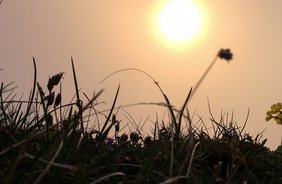 Die schönsten Sonnenaufgangswanderungen  