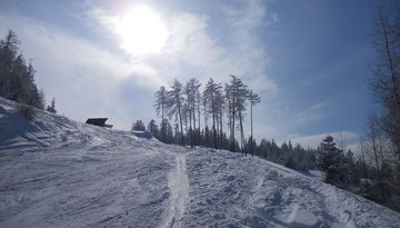 Escursione con le racchette da neve Grünberg
