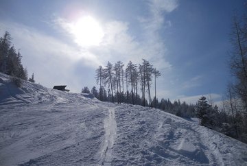 Excursión con raquetas de nieve a Grünberg