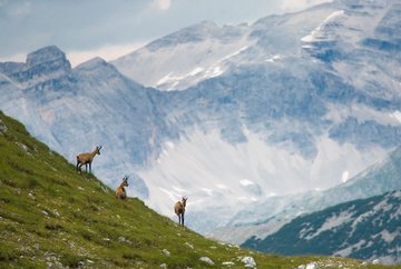  Nature Reserve Naturpark Karwendel