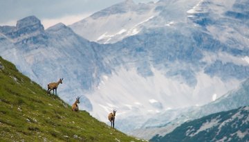  Nature Reserve Naturpark Karwendel