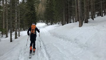 Ski Tour on the 'Lacke' (1,704m)