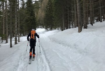 Ski Tour on the 'Lacke' (1,704m)