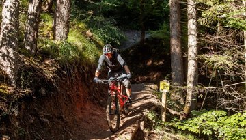 Hungerburg Trail (596)