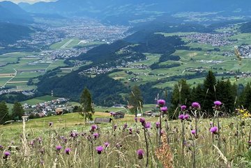 Panoramarestaurant Stiglreith