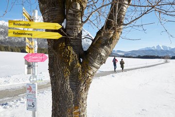 Genuss Route Winter Hiking Trail Mieming Plateau